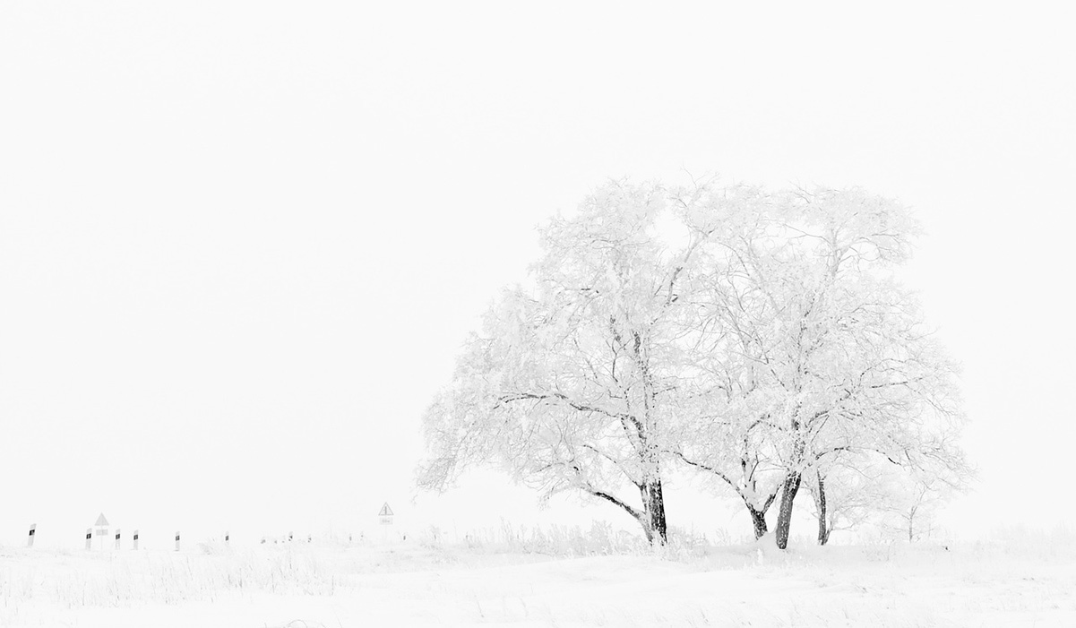 significado da cor branca