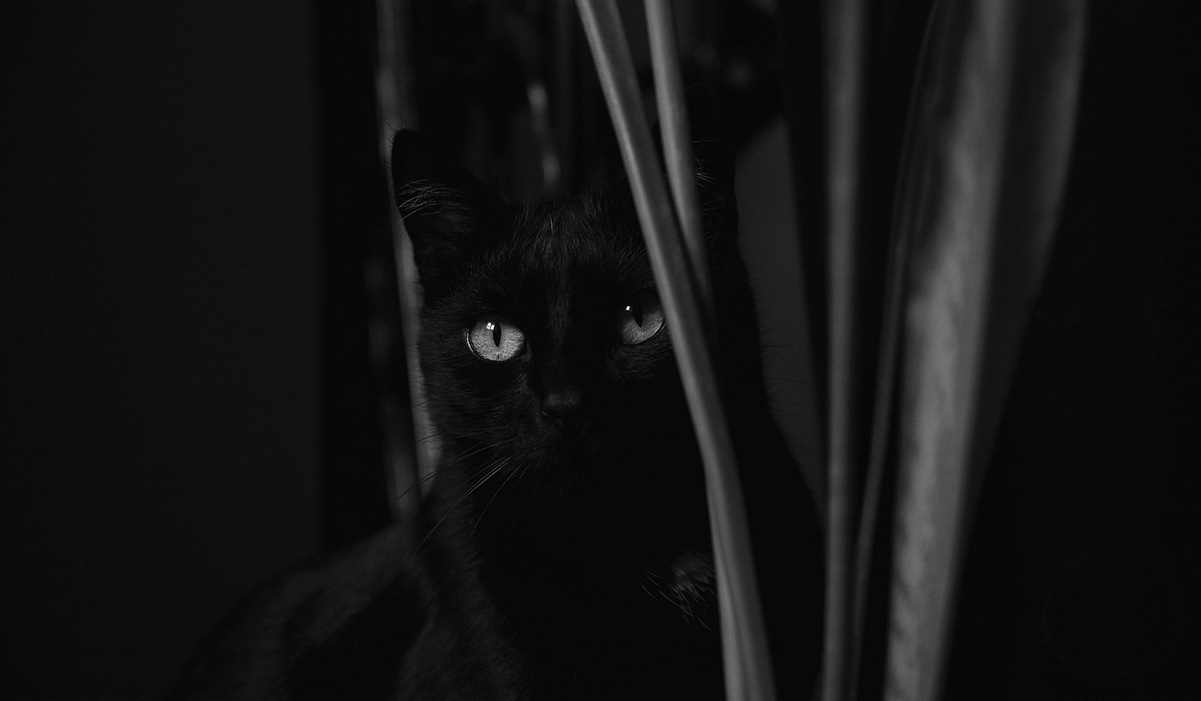 significado da cor preta