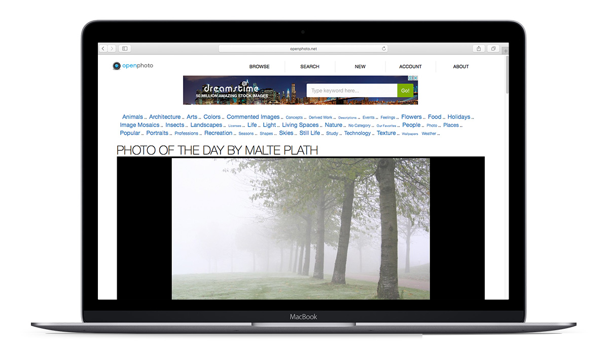 banco de imagens open photo