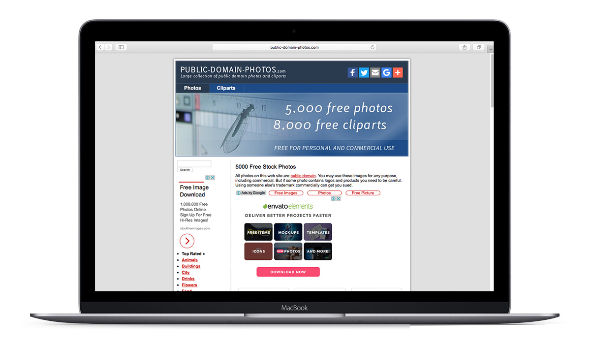 banco de imagens public domain photos