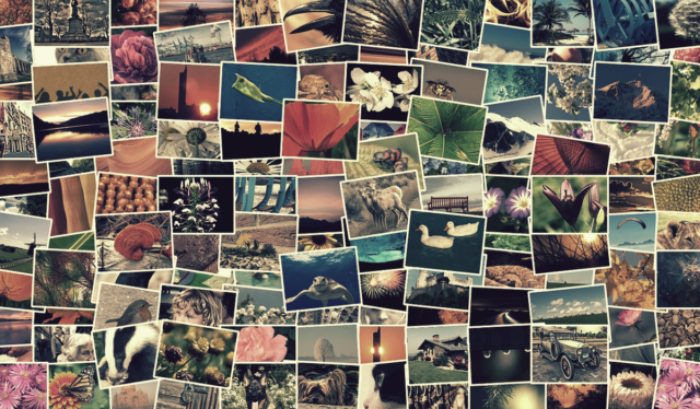 bancos de imagens gratuitos