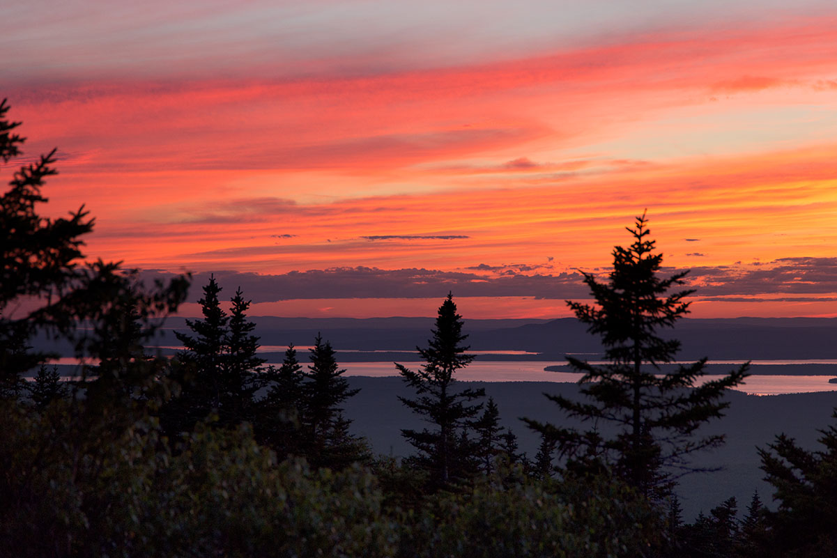 banco de fotos de natureza Free Nature Stock