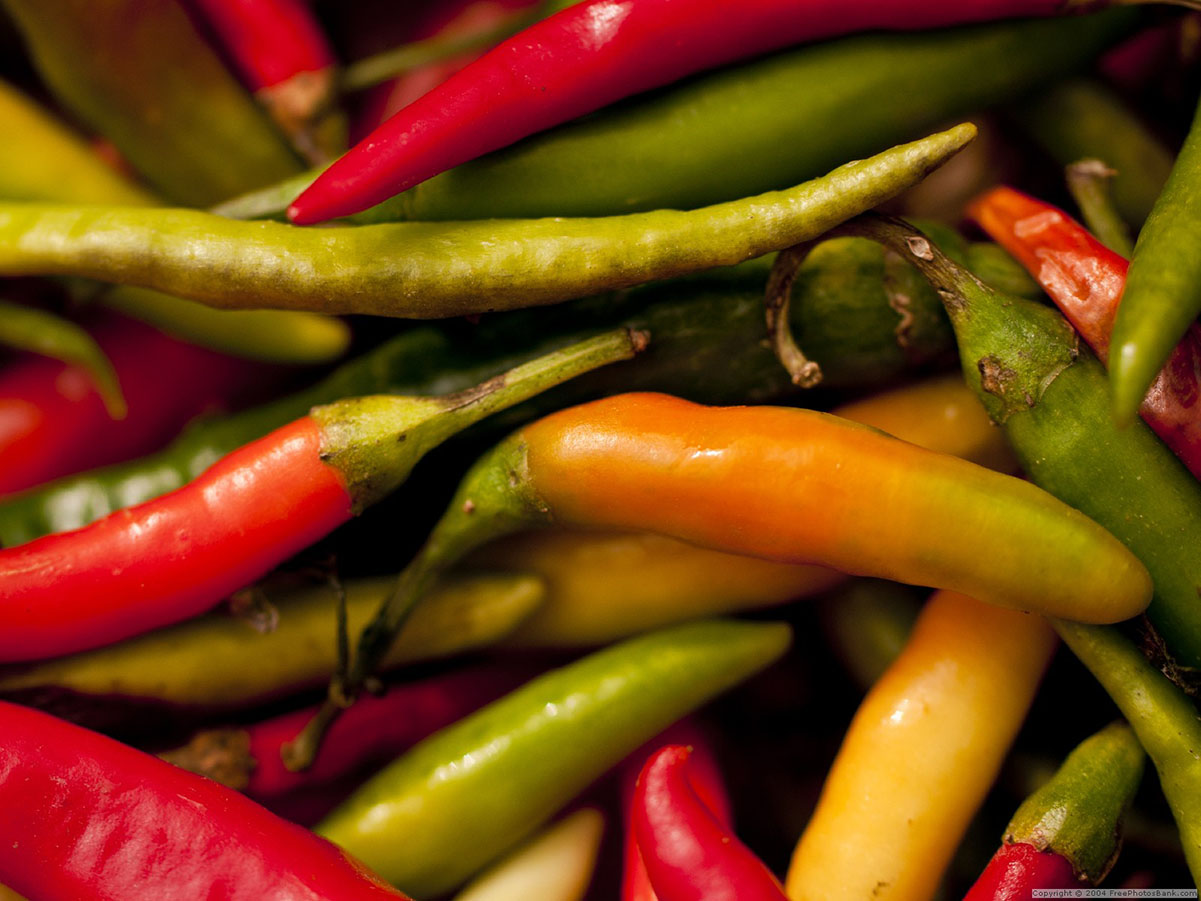 banco de fotos gratuitas Free Photos Bank