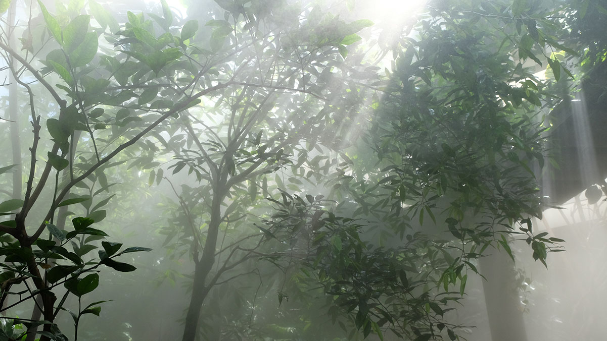 banco de imagens Life of Pix