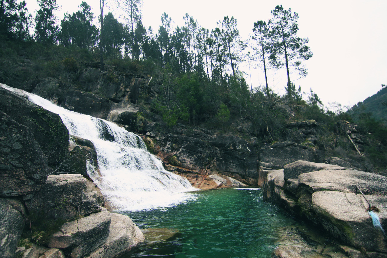 banco de fotos grátis Moveast