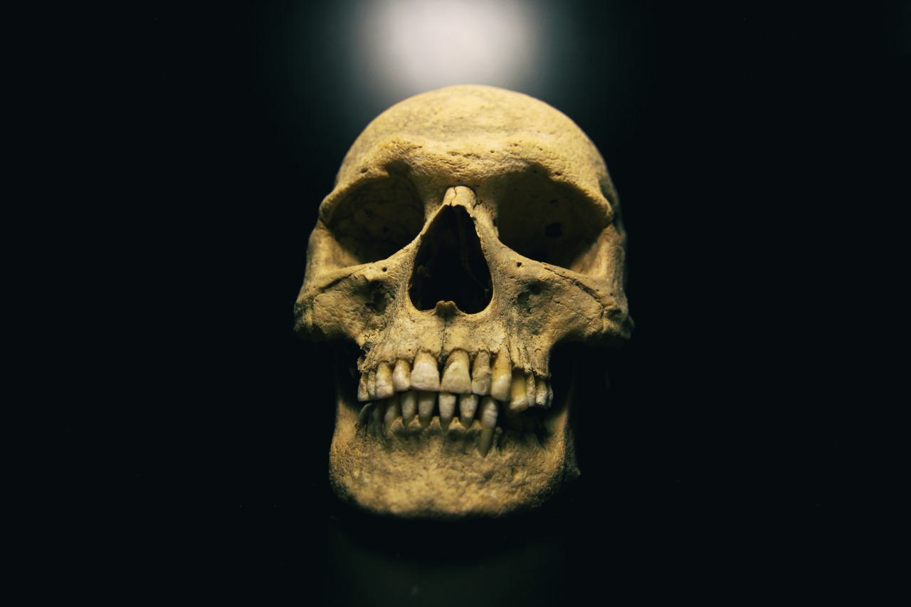 banco de fotos grátis Moveast