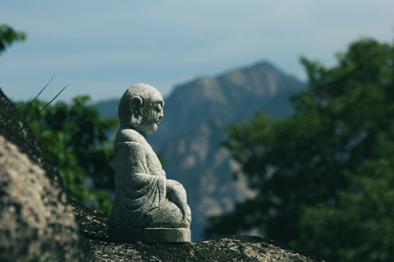 banco de fotos grátis Moveast